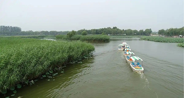 雄安培训基地